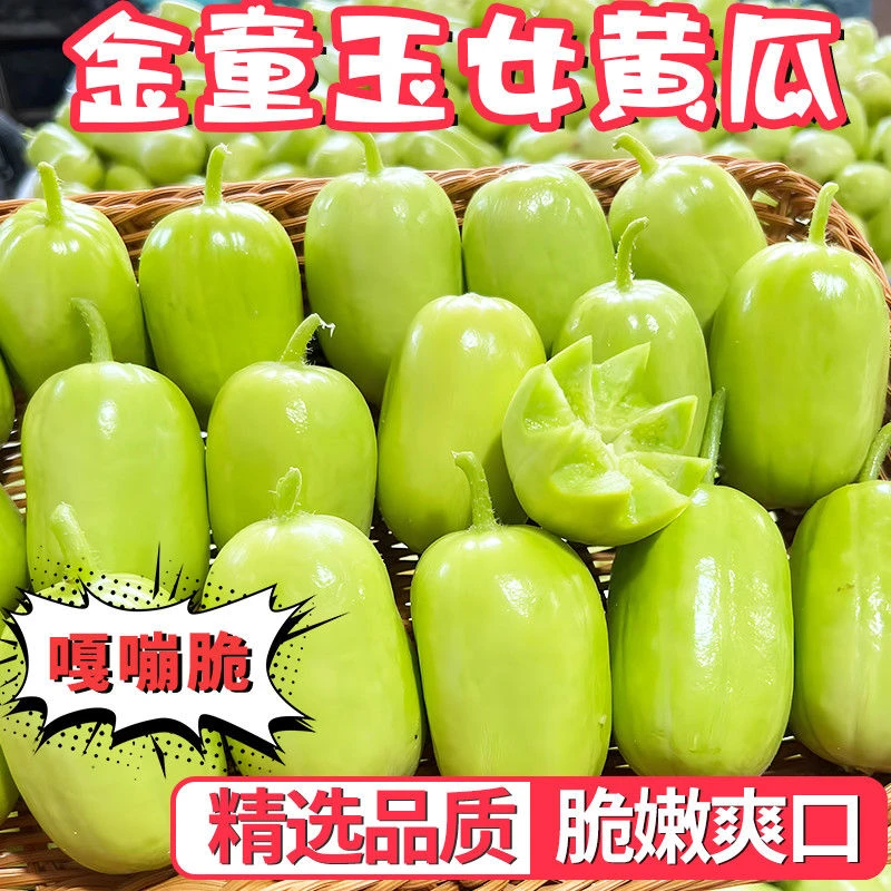 现摘现发山东玉女黄瓜金童玉女水果黄瓜拇指黄瓜寿光蔬菜