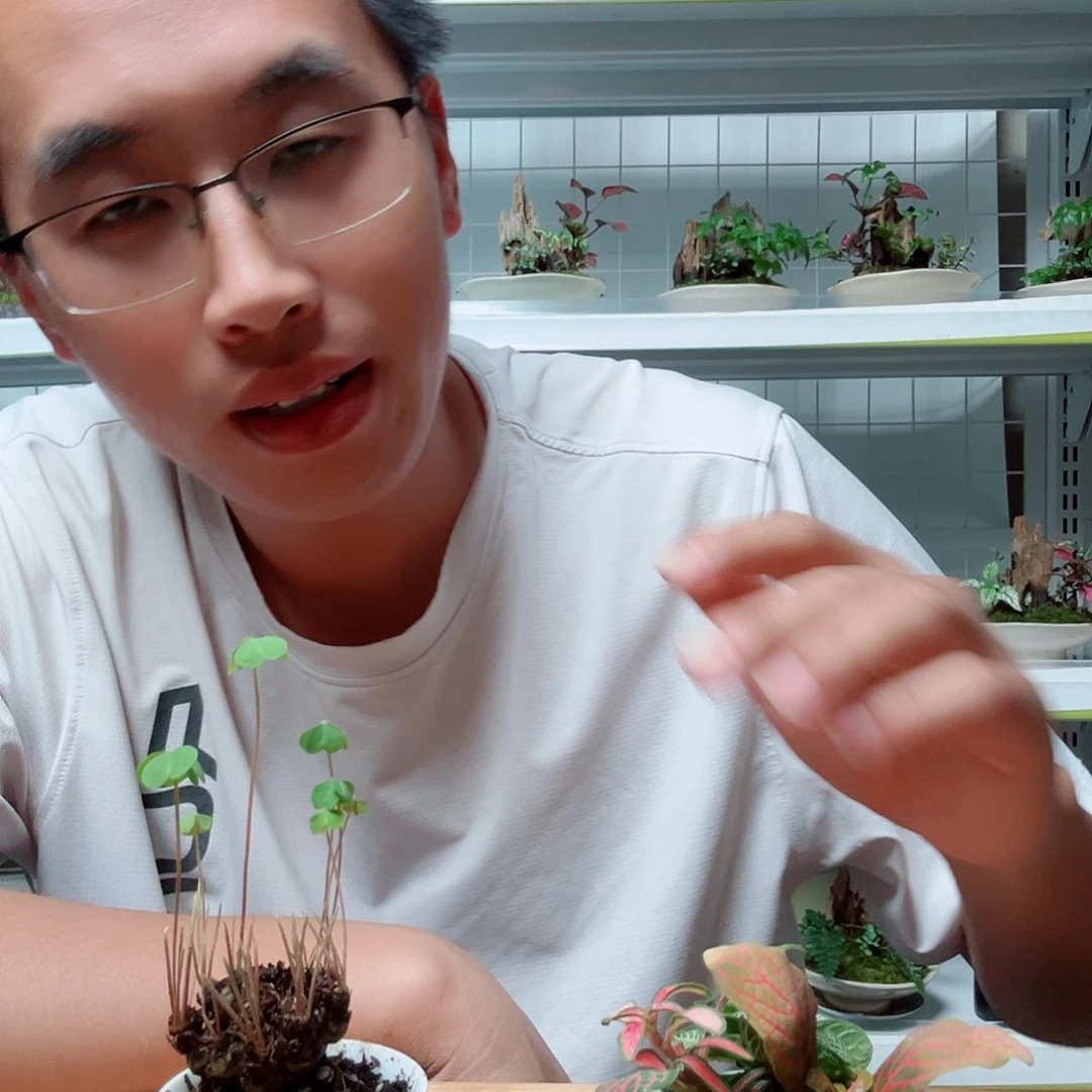 木*?22
