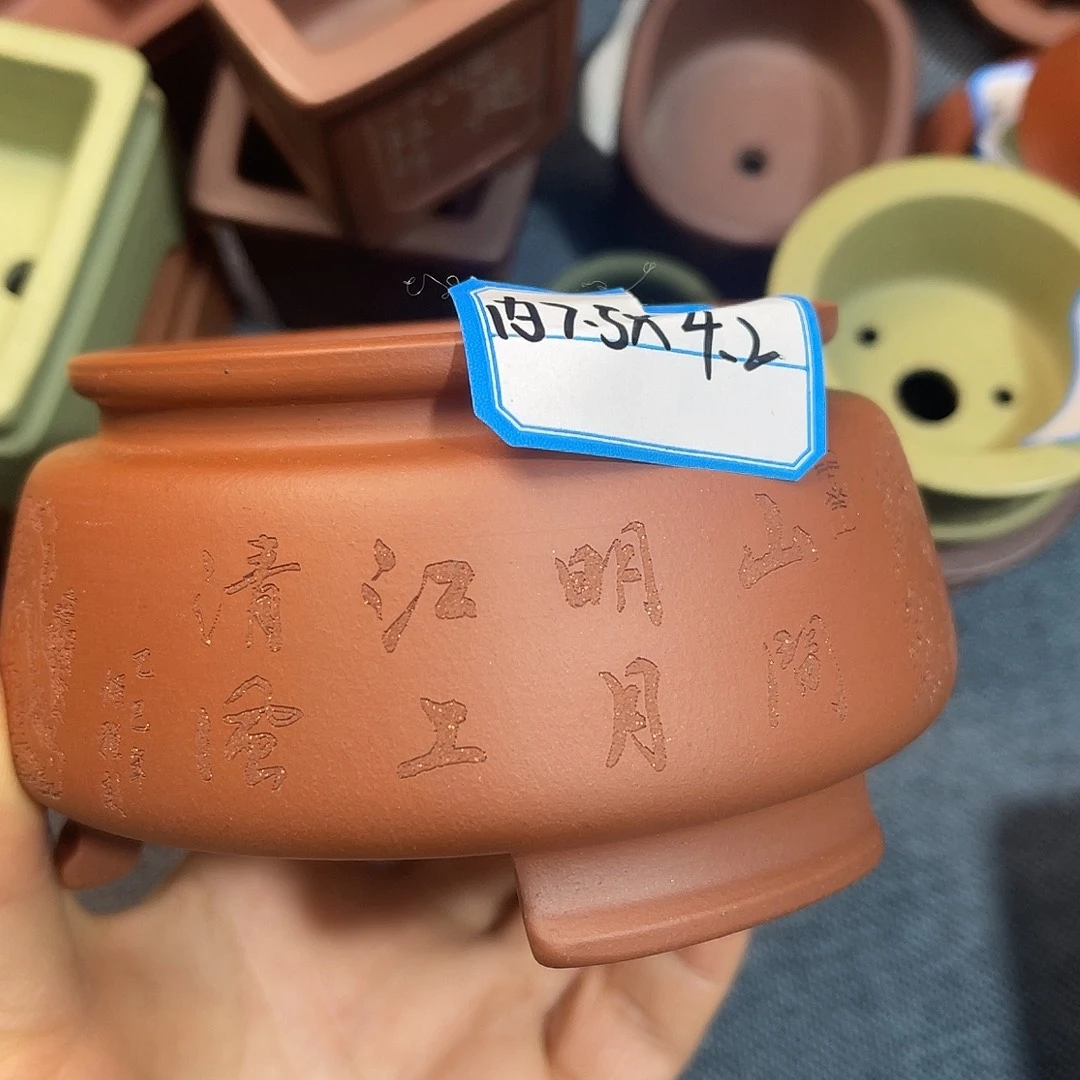 精品意识红皮龙圆盆盆景盆