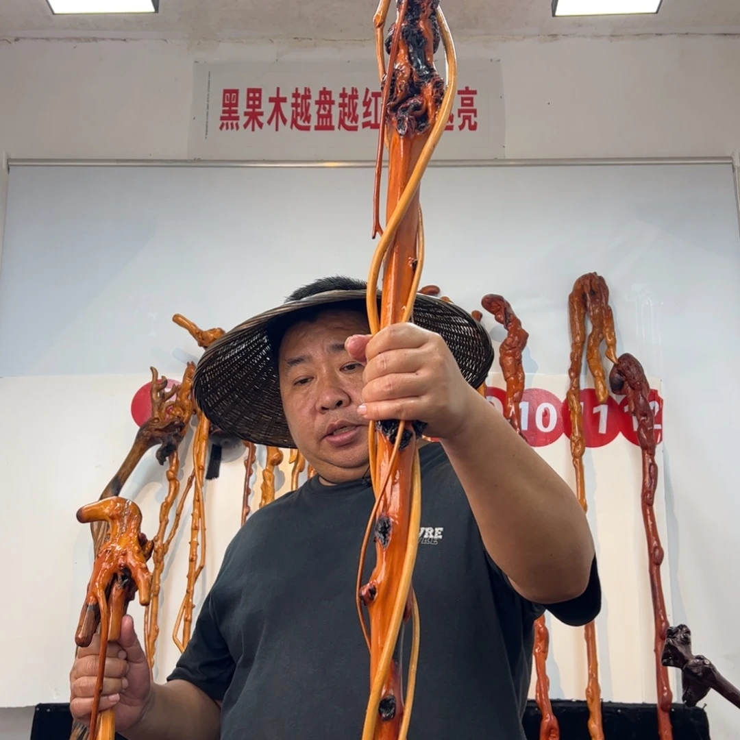 用***8黑果木其他黑果木753