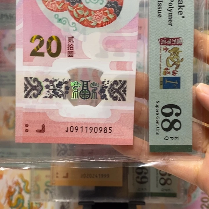 蛇钞金马号小雷达