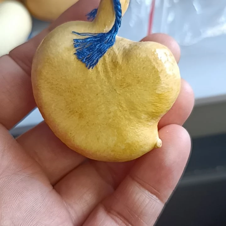琪**呀葫芦好看葫芦好看葫芦