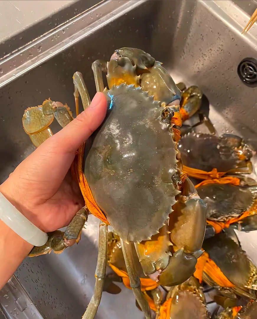 野生・全母红膏蟹（精品）  顺丰鲜活发货！当季肥满 膏体醇厚