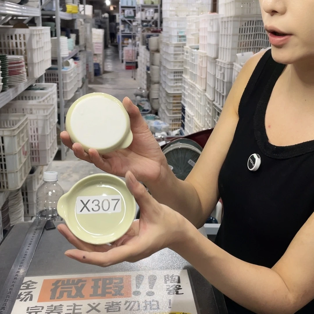 瓷片307           6个