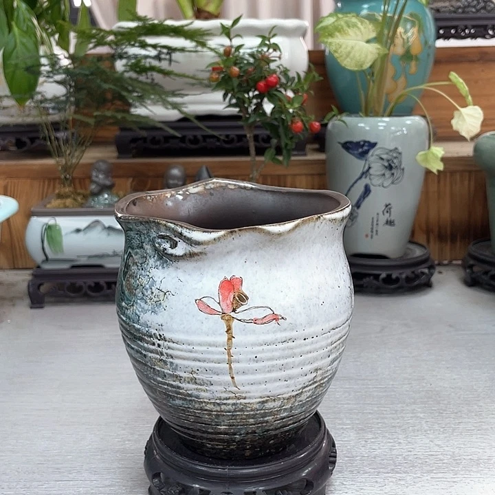 陶瓷花盆紫砂花盆抢购福利