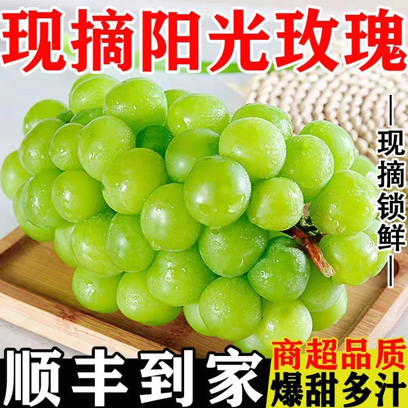 【顺丰速发】高山新鲜阳光玫瑰葡萄脆甜无籽香甜多汁应季新鲜水果
