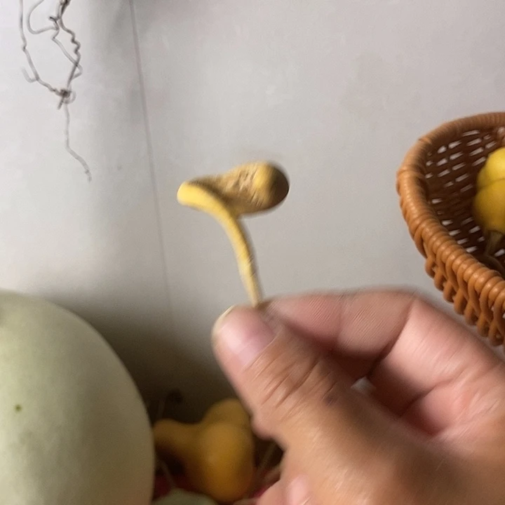 玩***妈青皮葫芦手把件葫芦