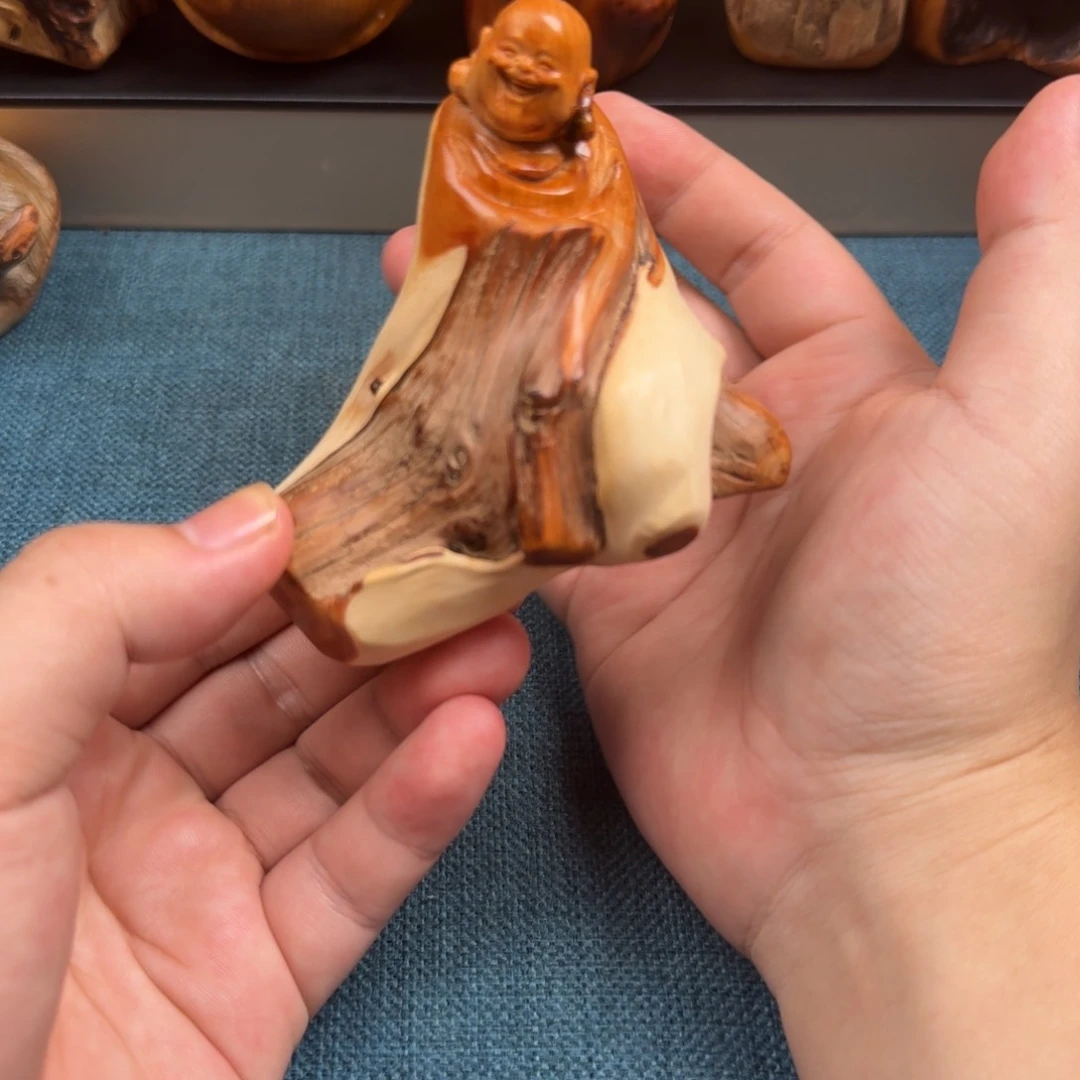 柏木（崖柏）太行崖柏