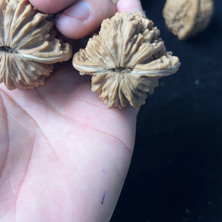 大叶紫檀（黑酸枝木类）