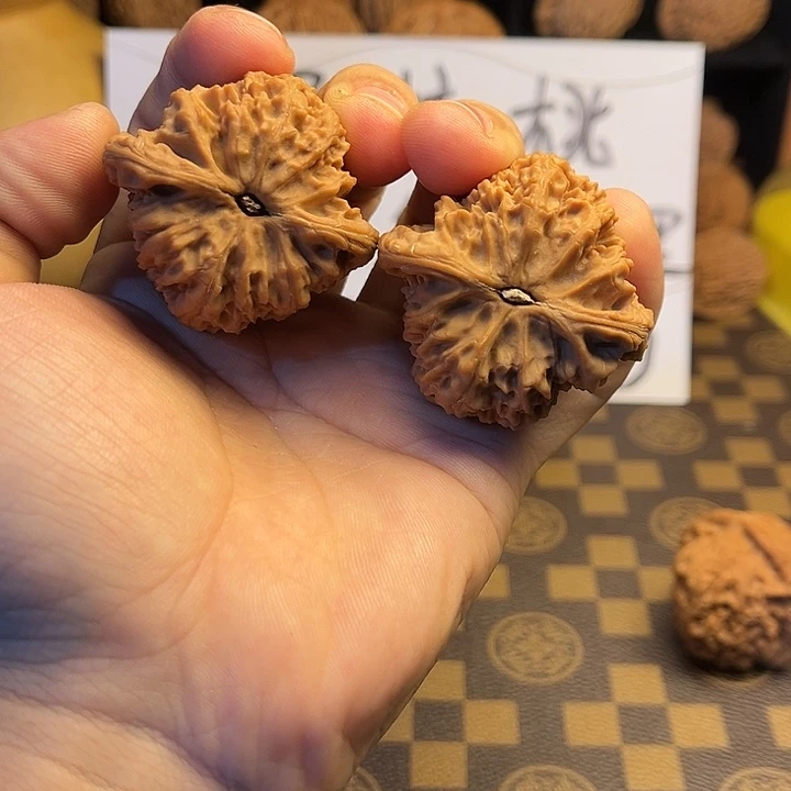 大叶紫檀（黑酸枝木类）