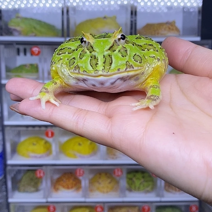 特价秒杀现货特价