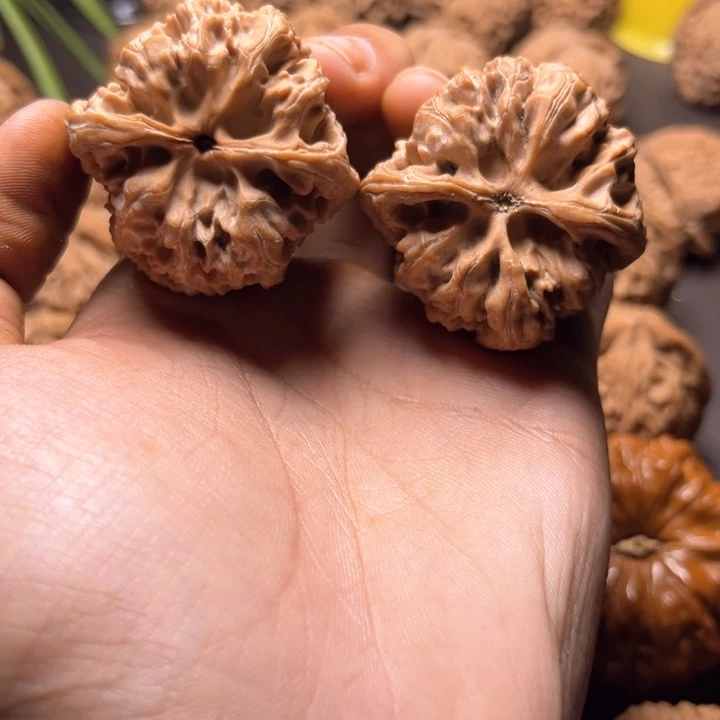 匹***款野牛野牛野牛野牛40