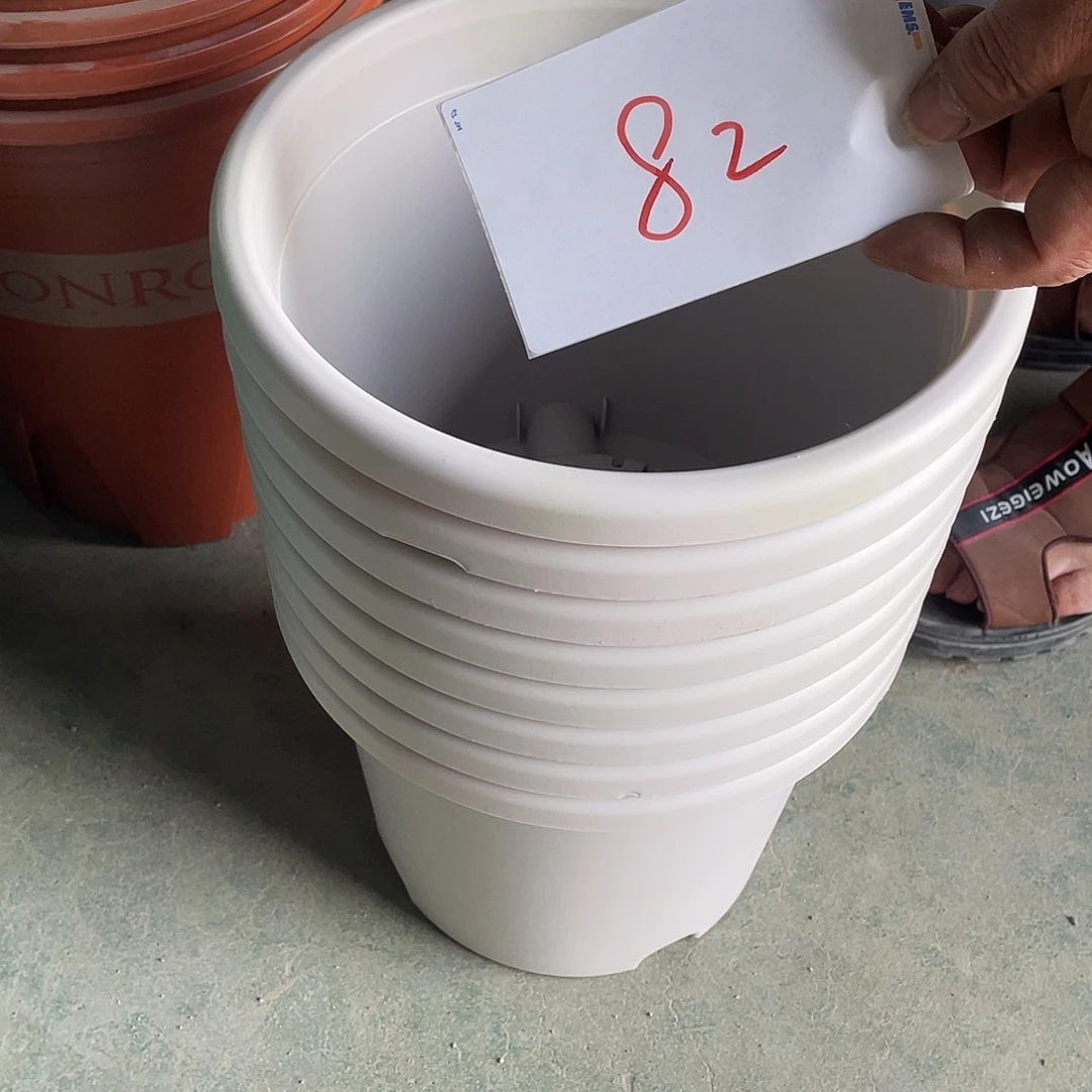 微瑕82编号82编号编号