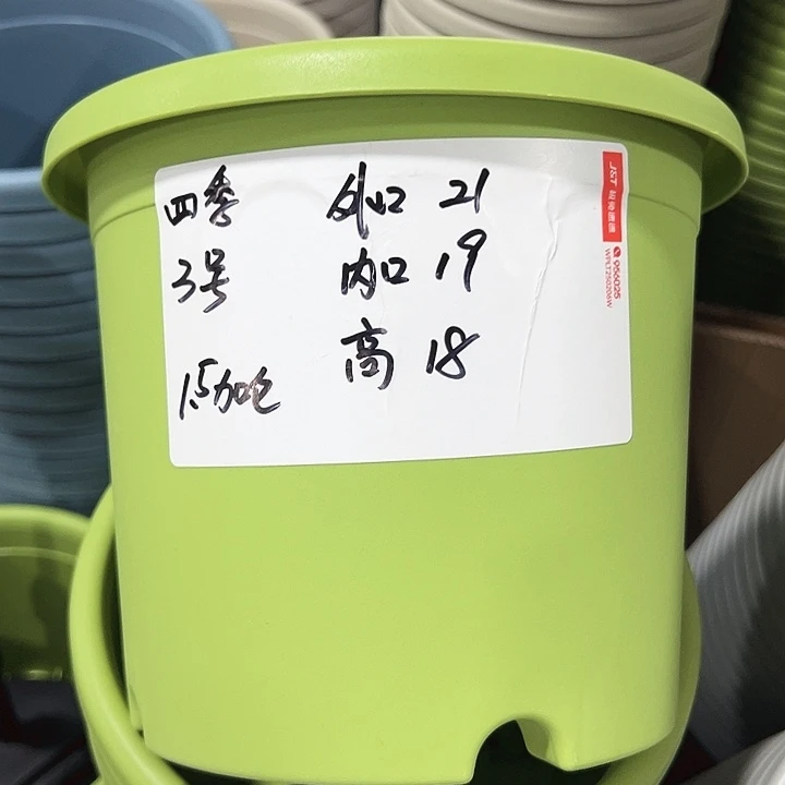 特价3号四季口21高18白色10个带托