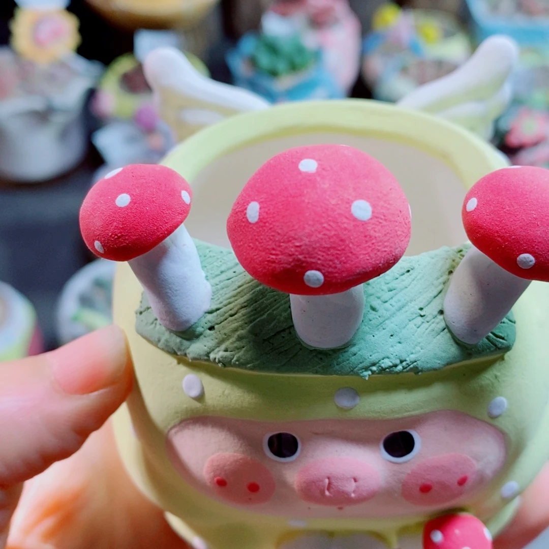 樱****生石花花花哈哈哈哈哈哈567