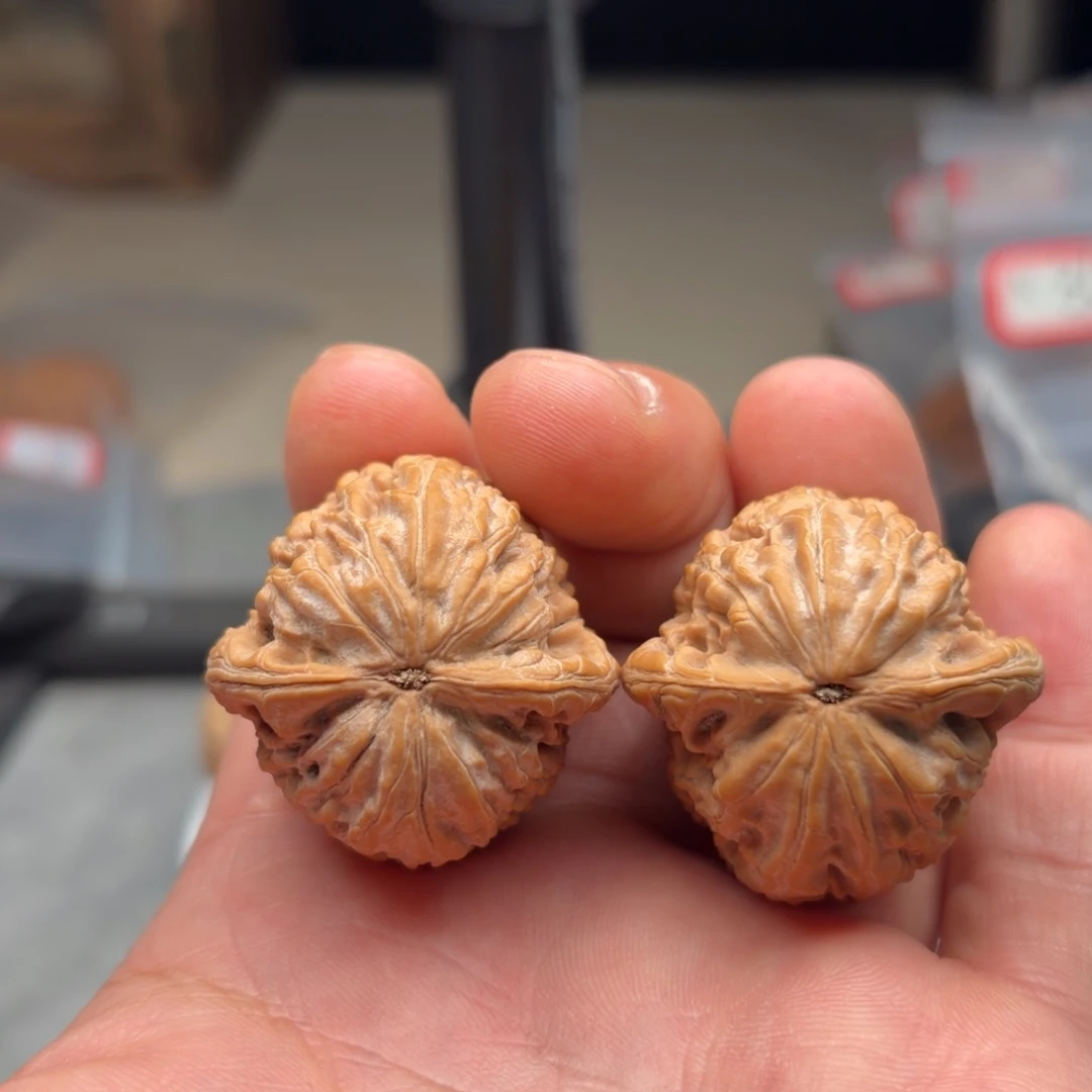 宏***力吊坠文玩核桃蛇皮纹洪荒