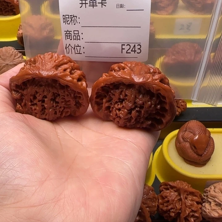 圣***辉核桃蛇王47蛇王蛇王