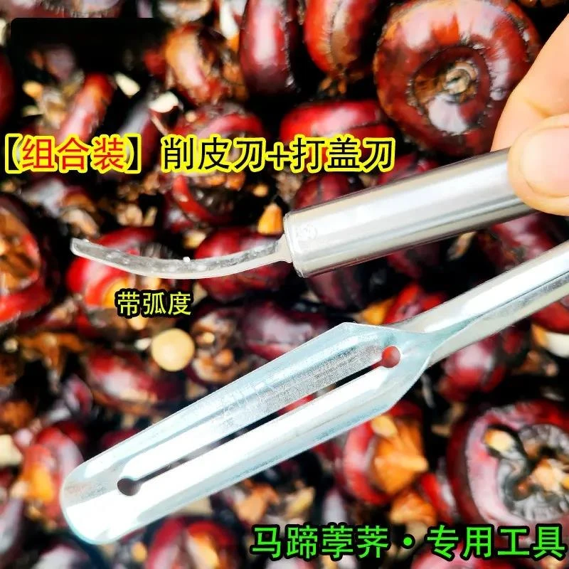 削马蹄专用刀马蹄打盖刀工具剥荸荠去皮刀削马蹄打盖去蹄蒂马蹄专
