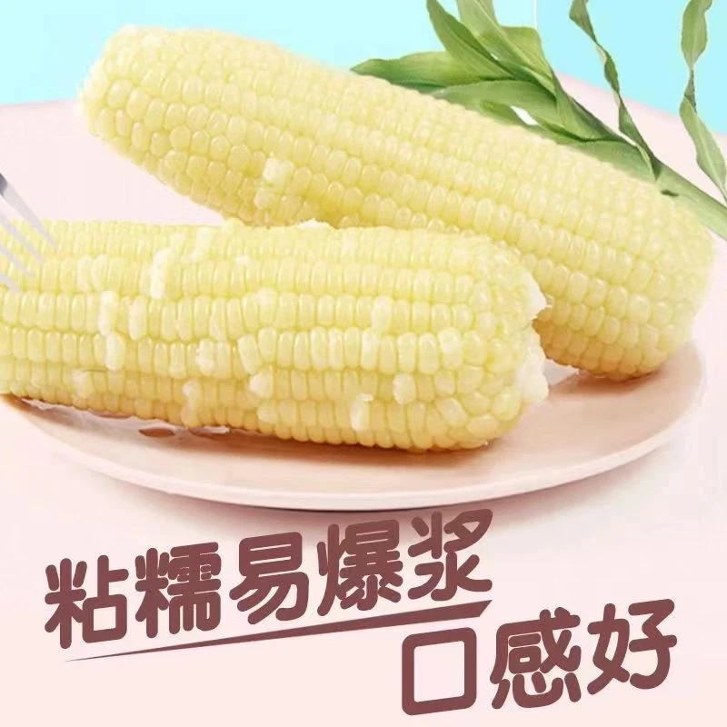 东北大棒白糯玉米香甜低脂真空包装七斤一大箱