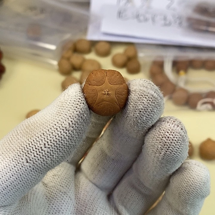 顽***主凤眼菩提吊坠五星单颗