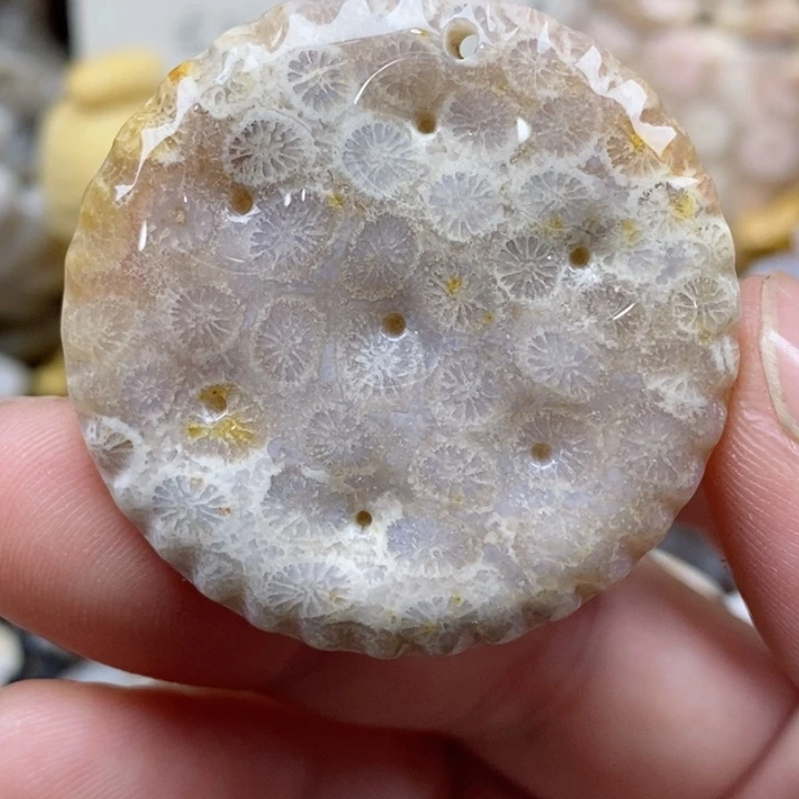 颈饰未镶嵌硅化珊瑚（珊瑚玉）