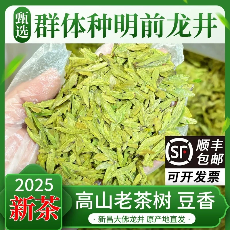 明前龙井头采 2025年新茶 新昌大佛高山绿茶罐装中秋送礼礼盒装