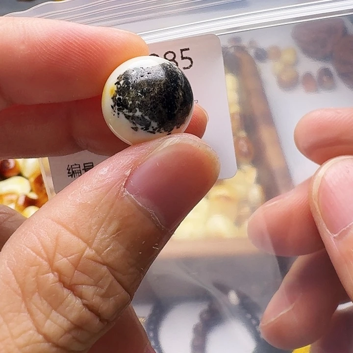 裸石琥珀未镶嵌琥珀