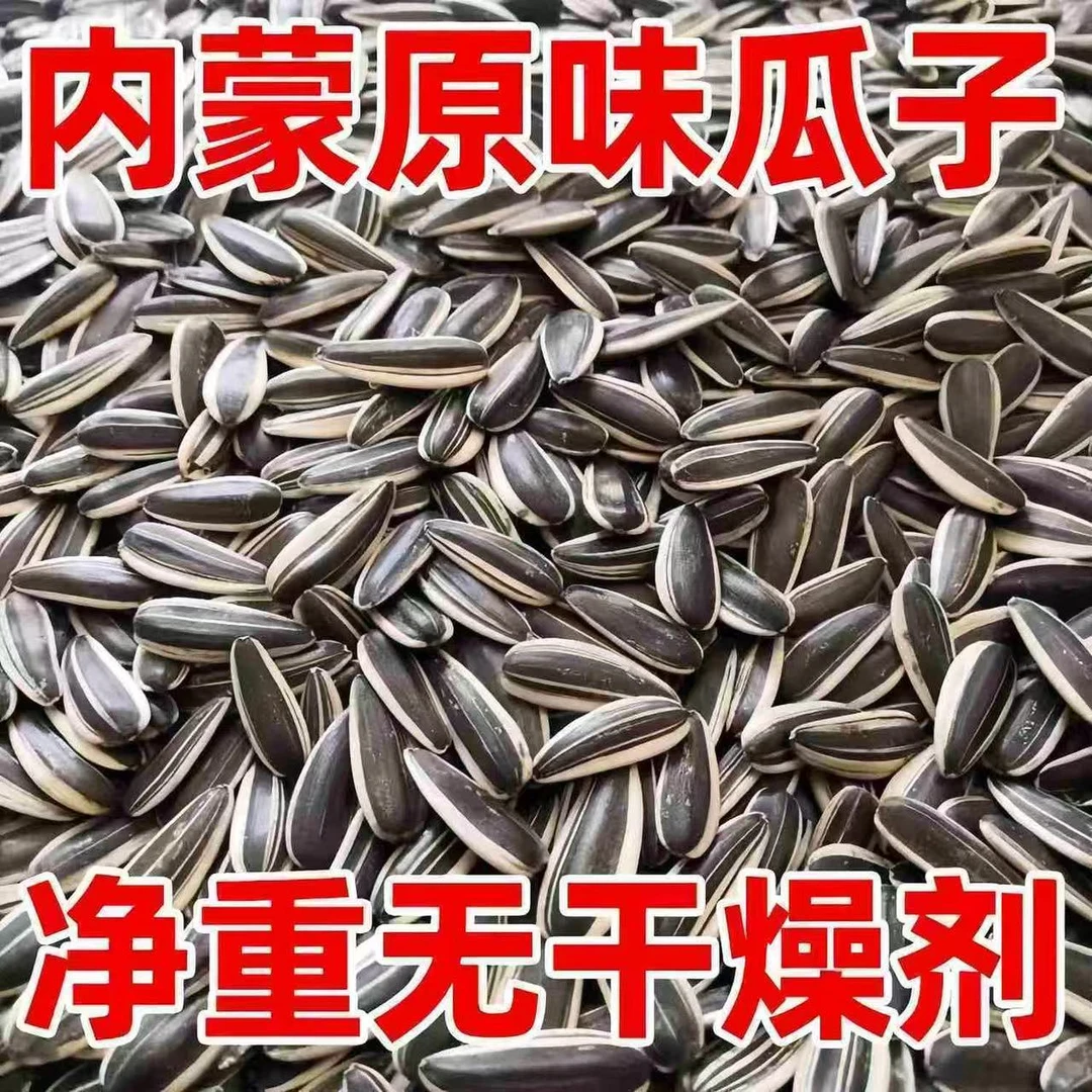 买一送一内蒙古大花脸新货炒熟葵花籽批发原味散装炒货零食瓜子