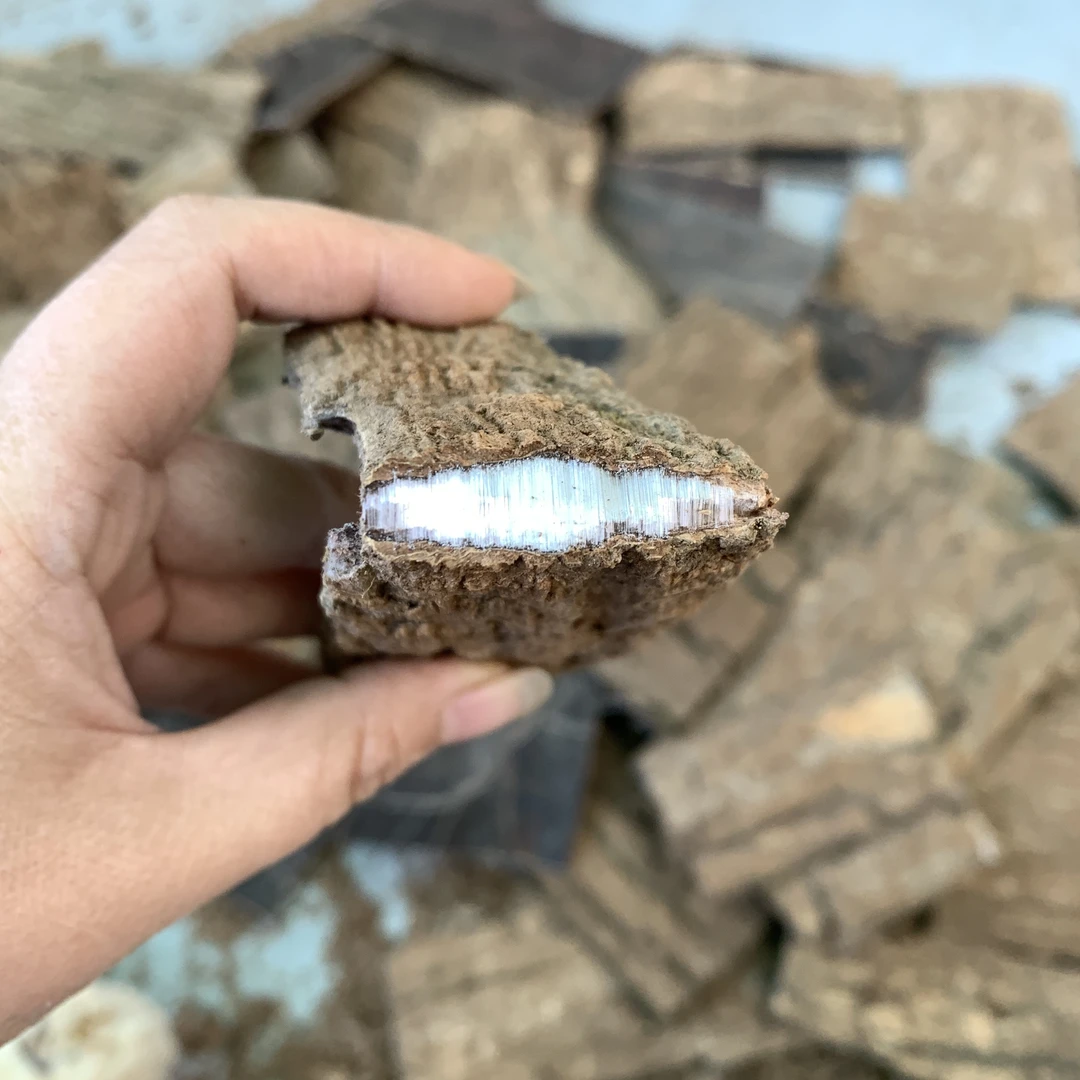 野生杜仲 云南深山老树 原生态厚片可泡水泡茶泡酒煲汤