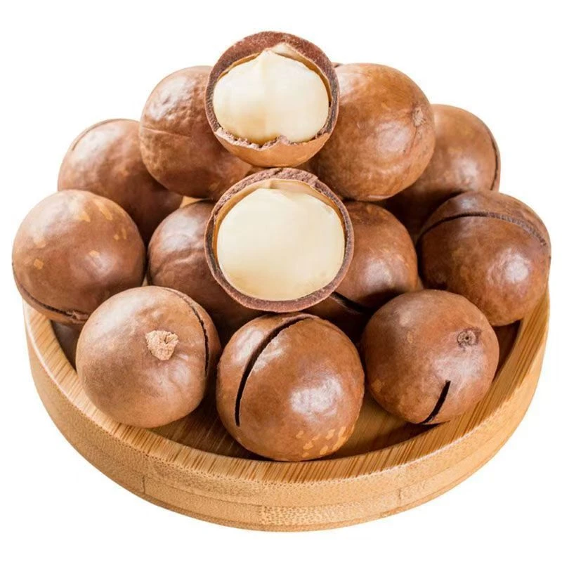 【夏威夷果一斤装】原味大颗粒坚果干果新货零食酥脆【250g*2含包装】