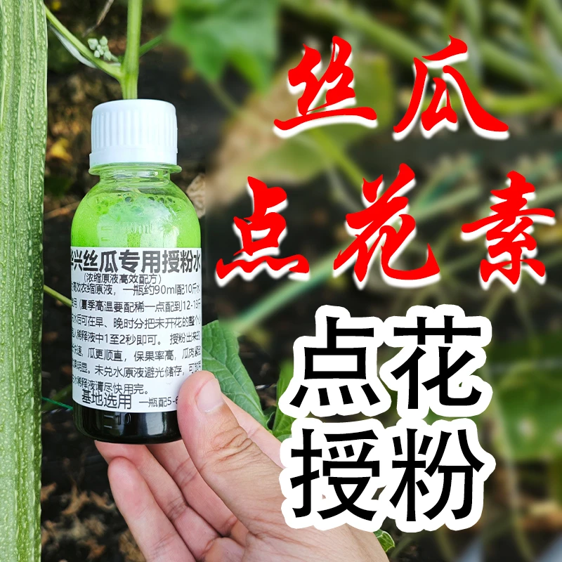 棱丝瓜专用蘸花素沾花药授粉药顺直拉长顶花防畸增产保花果浸花药