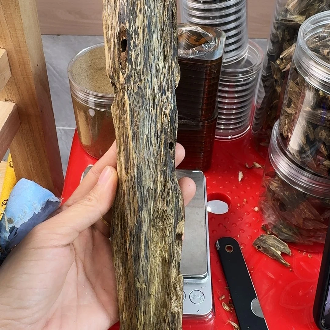 香料绿奇楠虫漏乌身圆叶87克