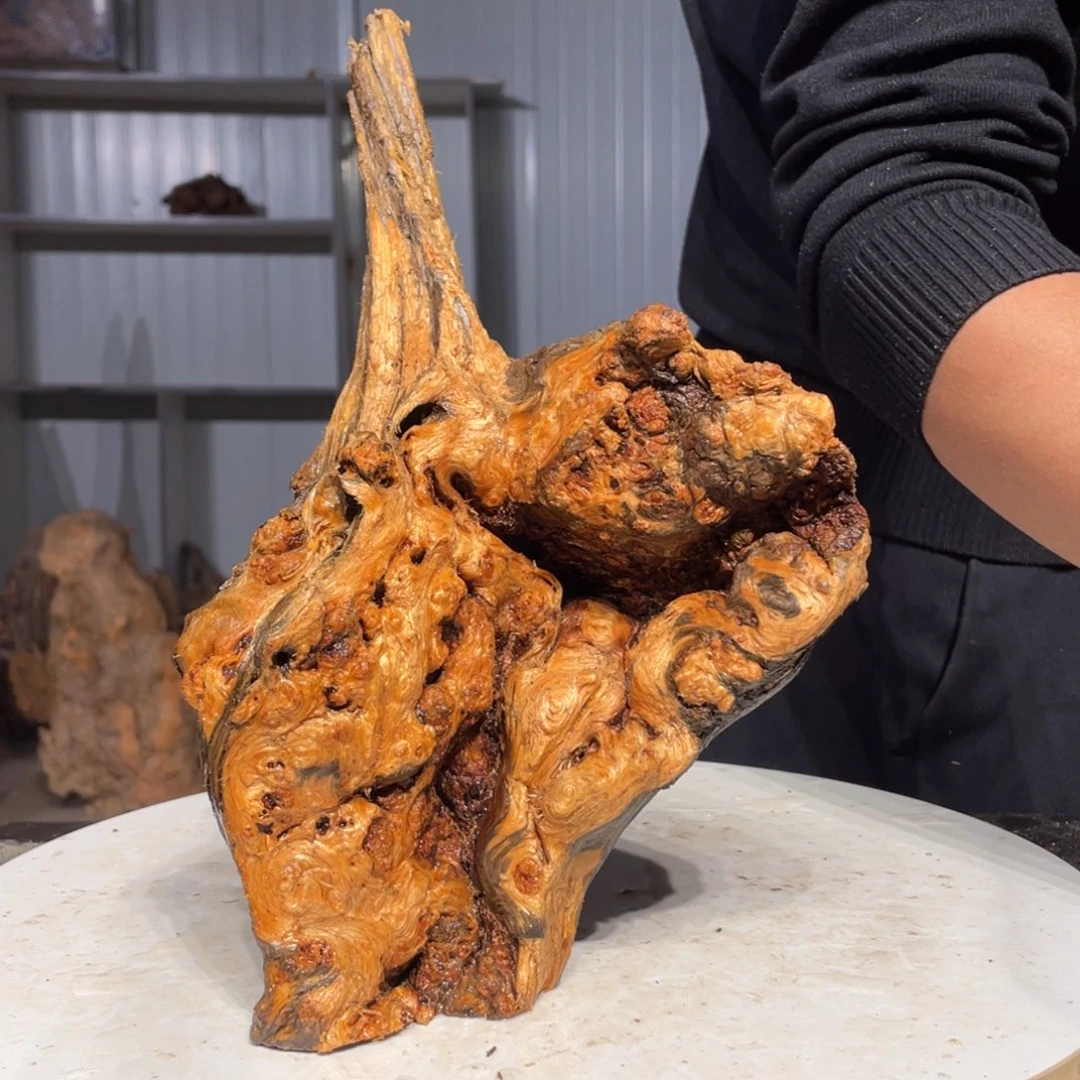 .***木猛子琥珀木摆件40