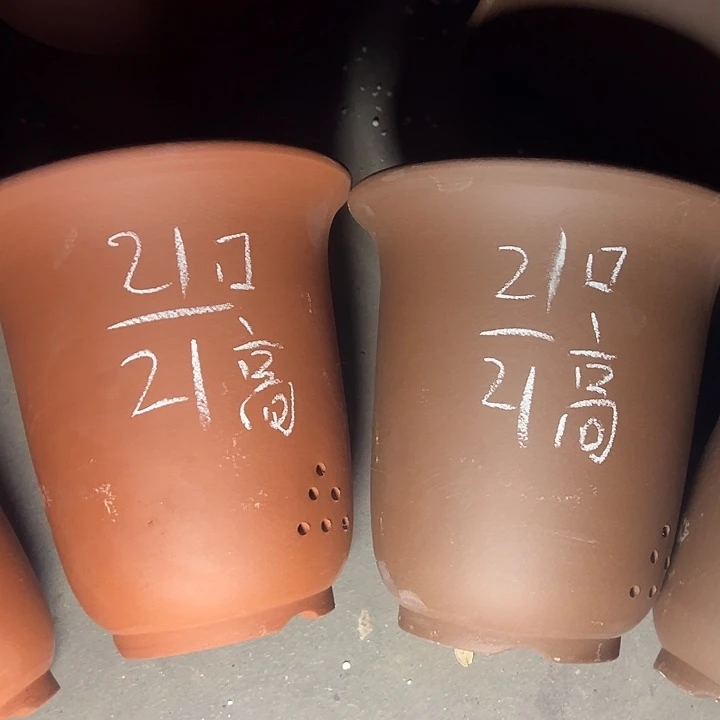 周深周深周深周深