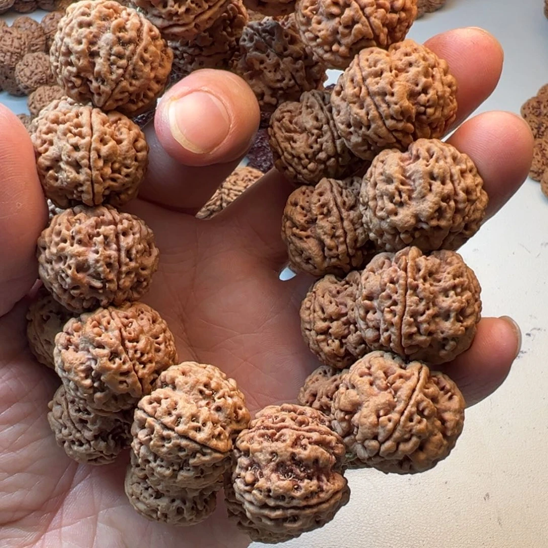 吊坠金刚菩提5瓣25左右梅花双龙