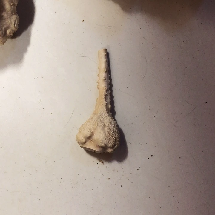 汪***海木木料木料木料木料