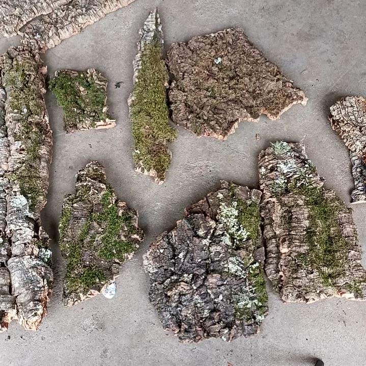 木一物一拍一物一发