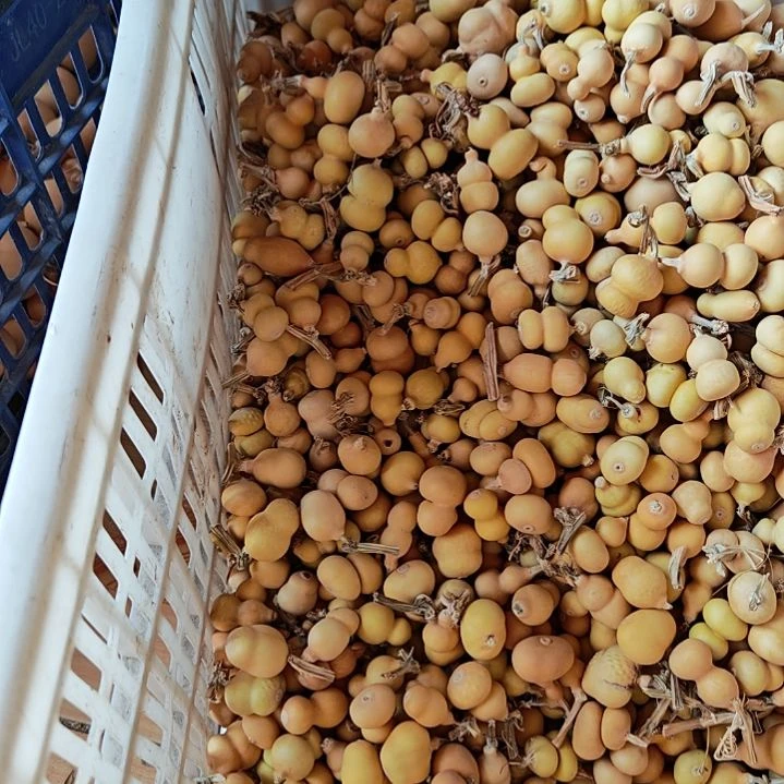 巧***豆天然葫芦选品链接