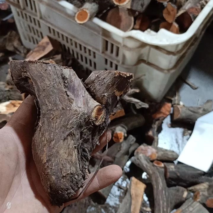 鸡***羹大果紫檀（缅甸花梨）