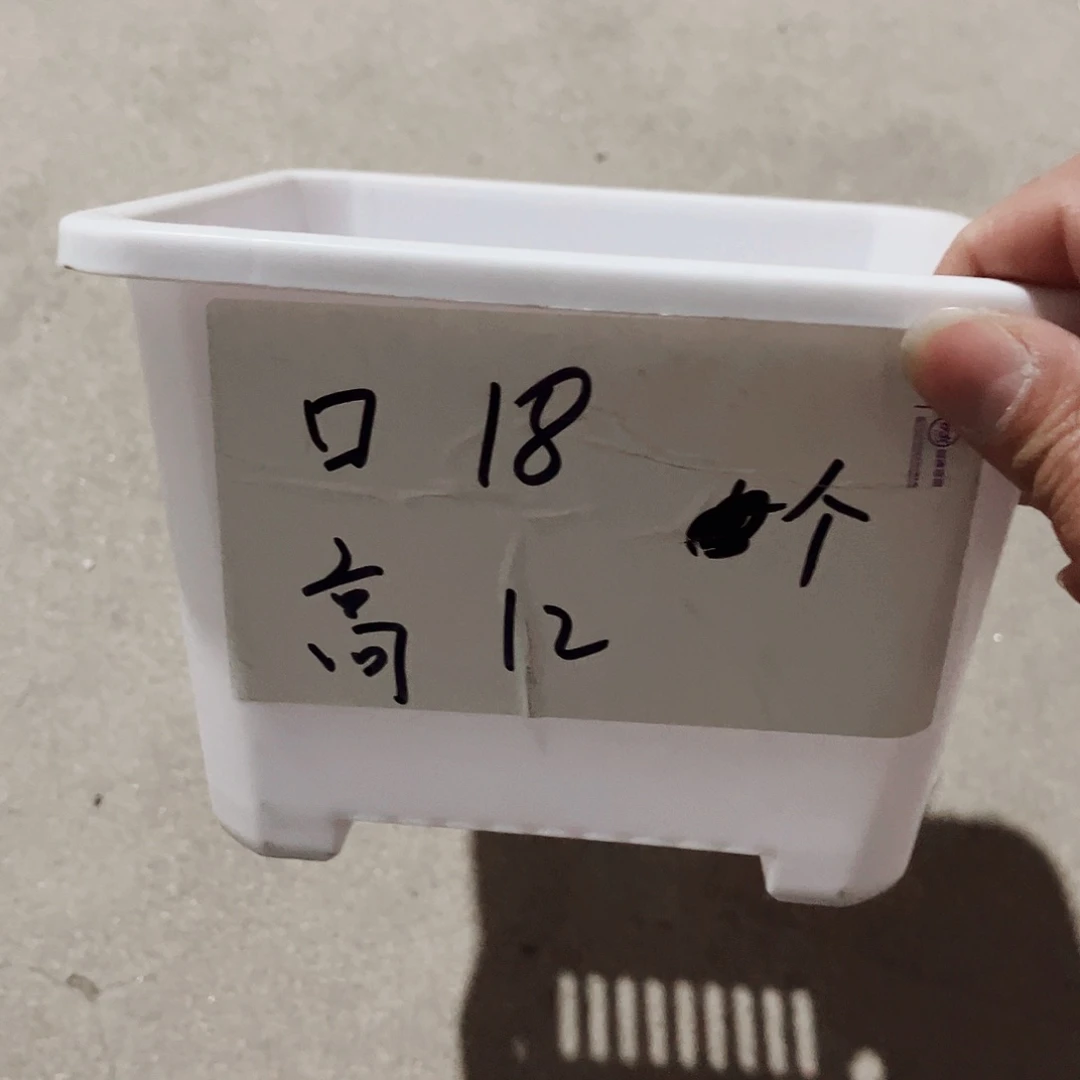 塑料升级款景天18方白色盆10个无托