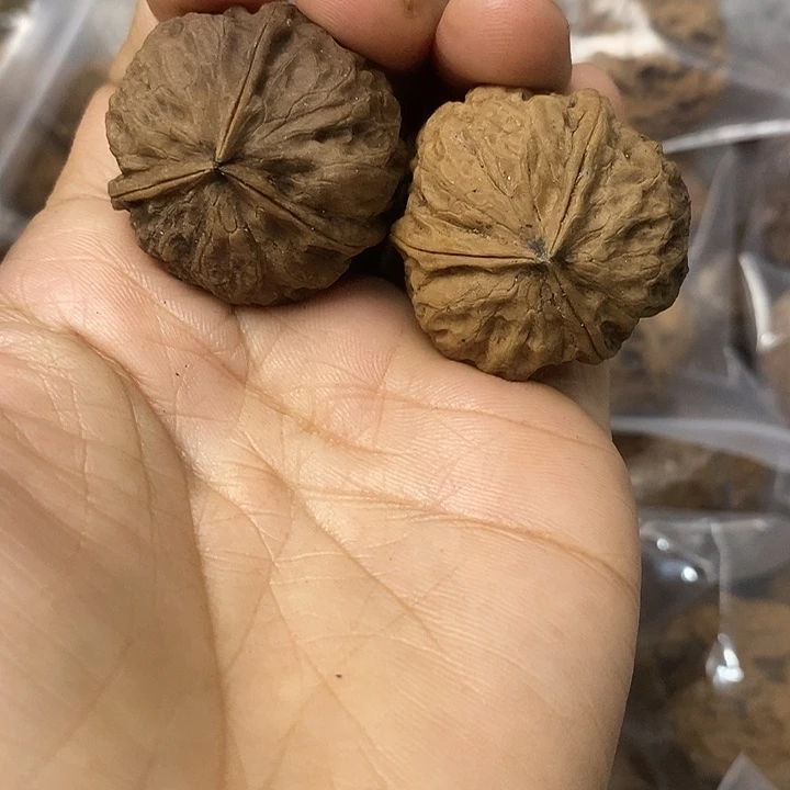 核桃云南铁核桃基地4