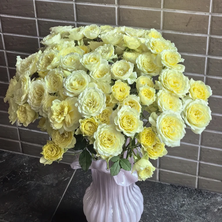 【10枝暖暖】花农直发，全场任意两单顺丰包邮