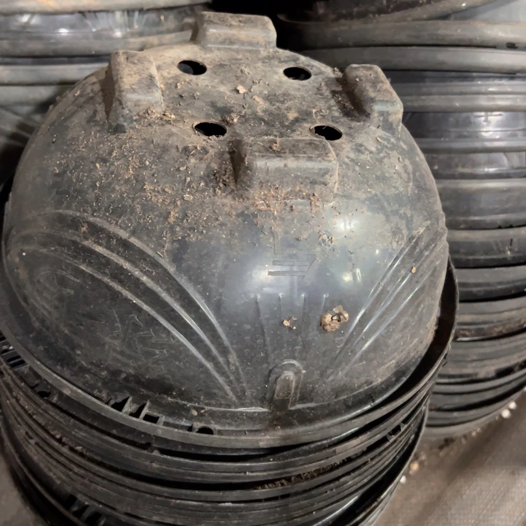 黑吊兰盆27口径13高 10个