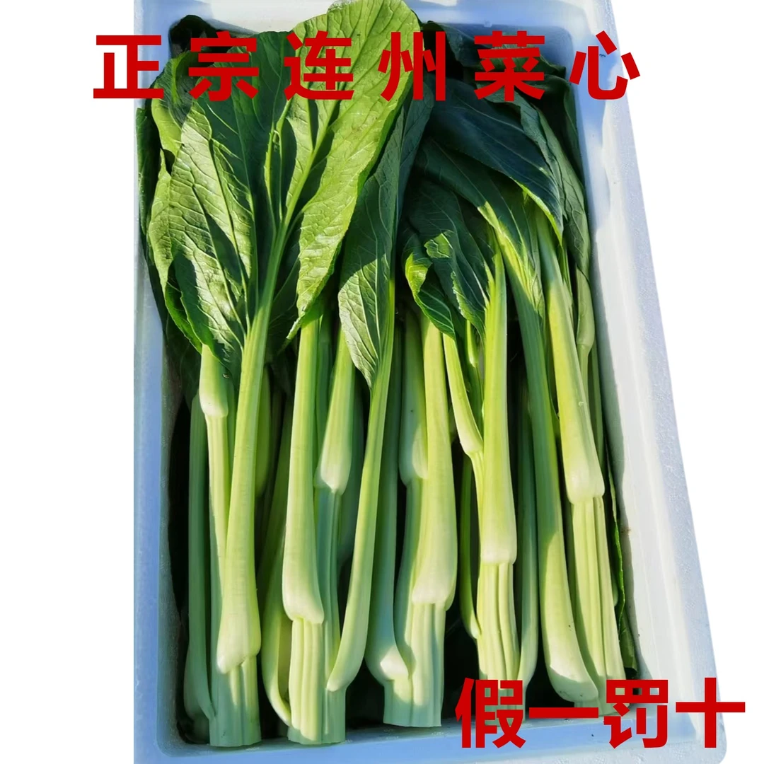 【大颗头箭菜】广东清远连州本地甜菜心
