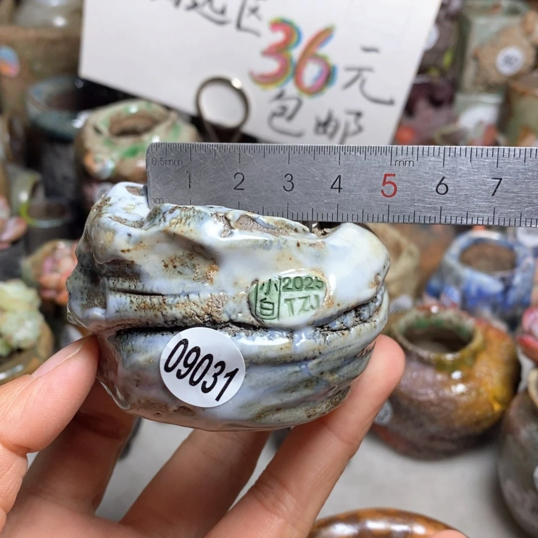 花盆拍1送一个小礼物