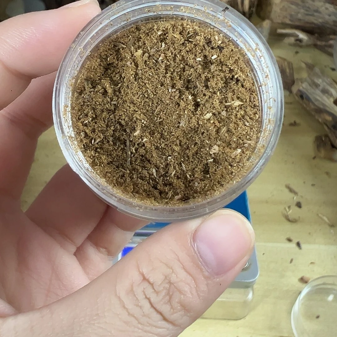 香料绿棋楠熏香粉10克