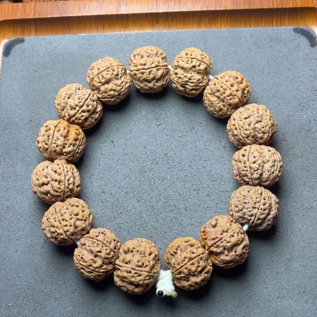 @***水菩提10号金刚菩提爆肉梁梅花21