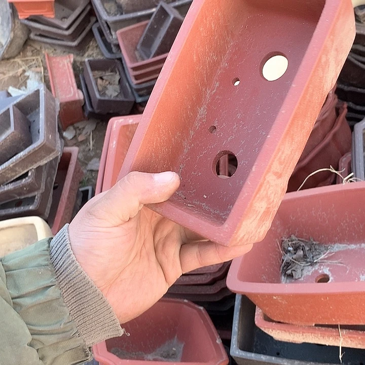 紫砂我要不就是你一定