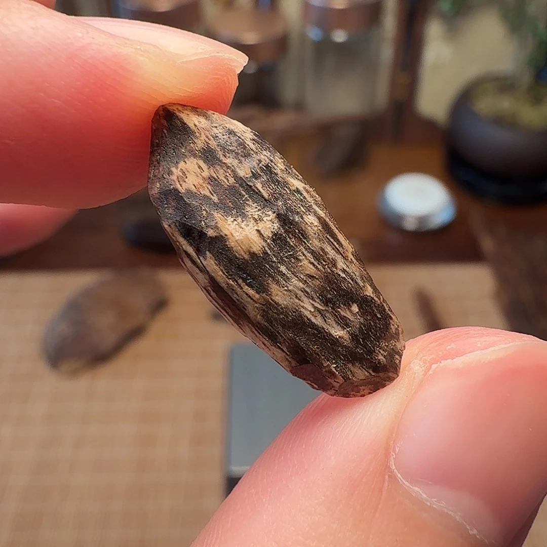 沉香斯里兰卡瓜子