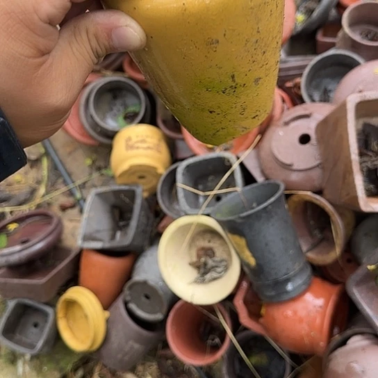 这几句真的好好啊哈哈好好听